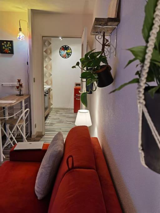 Cosy T1Bis Proche Centreville, Petit Port, Audencia Nantes Exterior photo